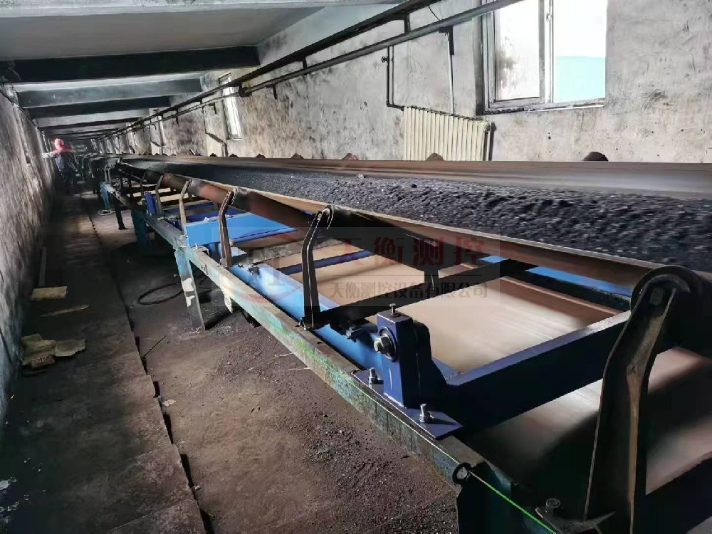 浙江熱電廠草莓视频91污項目